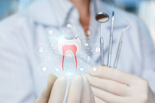 Trusted Deer Park, OH Holistic Dental Care Services Experts